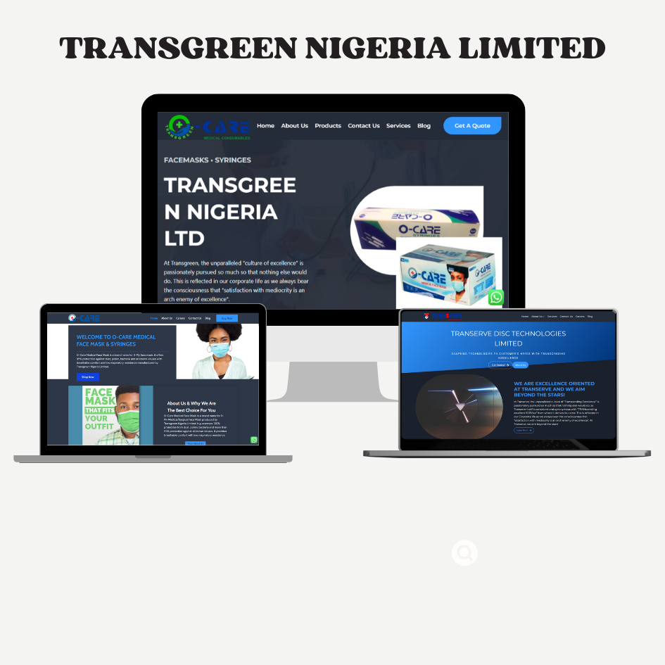 Transgreen Nigeria Limited Mock up